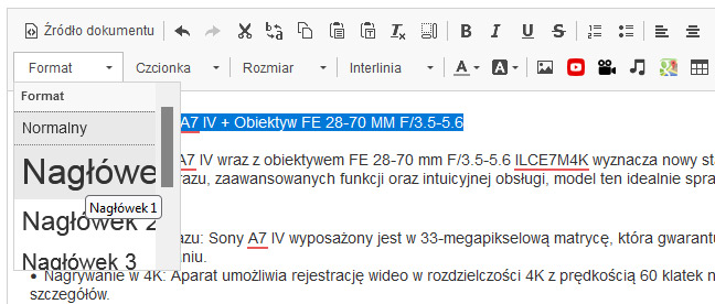 Nagłówek H1 w edytorze na stronie sklepu internetowego